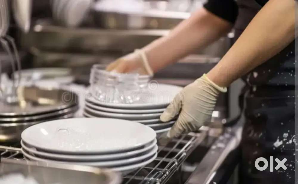 Wanted Male / Female Dish Washing Staff @ Restaurant