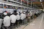 Immediately hiring for maintenance dept