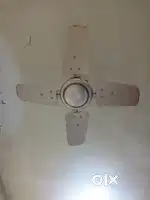 Fan, high speed fan, kitchen fan, crompton fan, ceiling fan,60mmm fan