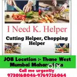 I Need :-  K Helper / Fresher Helper / Waiter Boy / Fresher Helper /