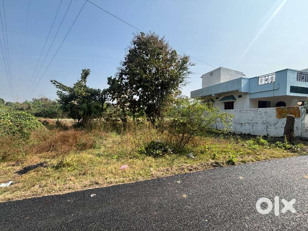 Premium Plot Near Mankapur Near Faras [ Negotiable ]