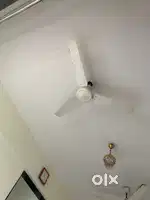 Ceiling fan