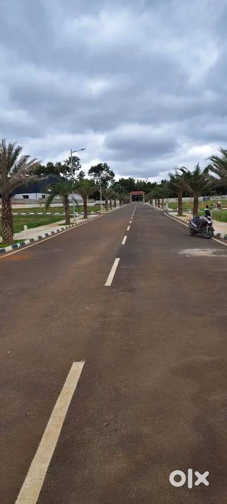 We are sell plot