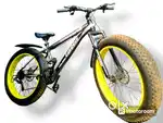 fat cycles
