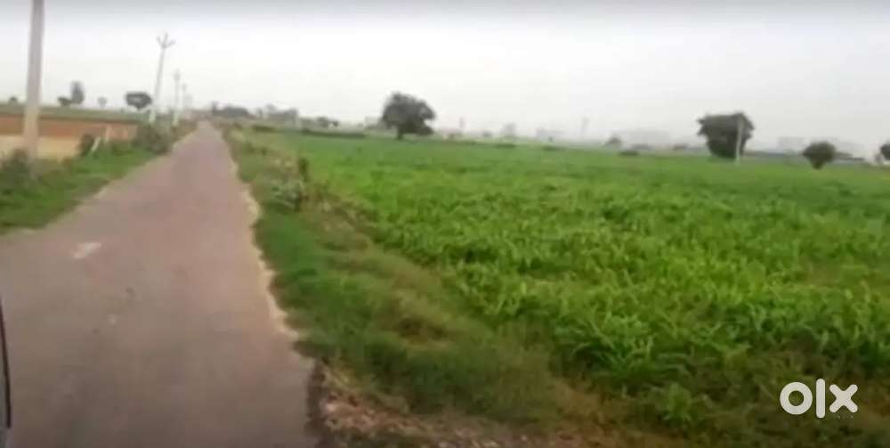 1 Acre 7 Gunta Agriculture land for sale near Byadagi