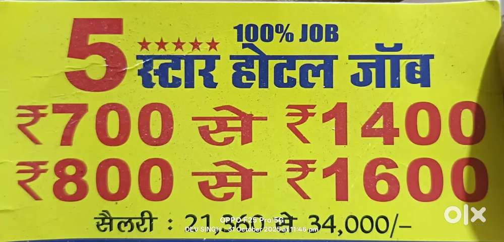 Daily cash payment waiter job