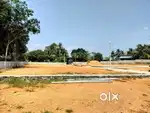 അങ്കമാലിയിൽ ടൗണിന് സമീപം ഹൗസ് പ്ലോട്ടുകൾ സ്വന്തമാക്കാം5 സെന്റ്  മുതൽ
