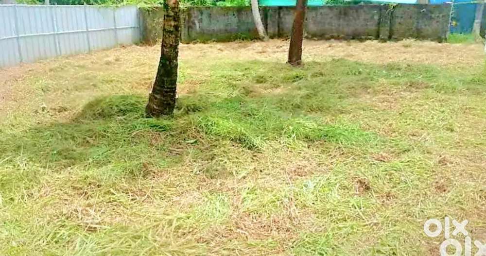 4 cent plot Cherthala KSRTC bus stand 2 km