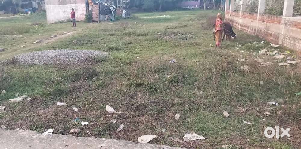 Gharabari plot for sell in puri