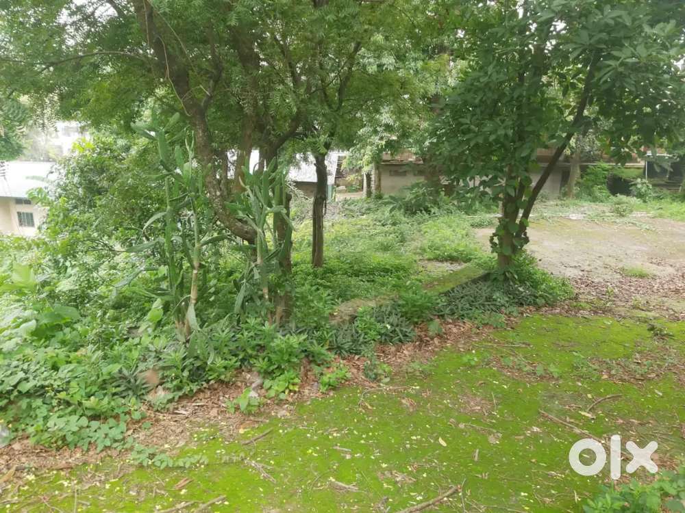 1 katha 10 lesa myadi patta land for sale at Beltola