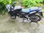 Pulsar AS150 55+ milage racing bike
