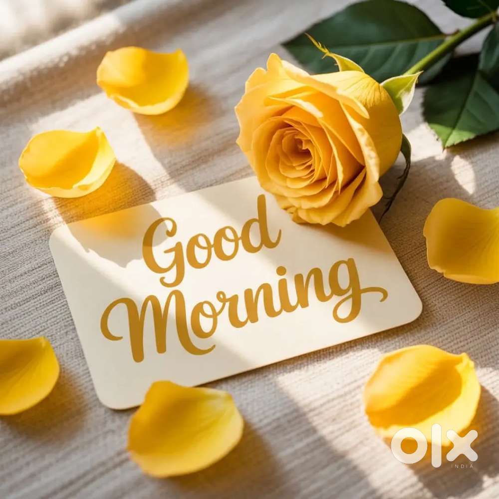 North Indian chef chaiye cloud kitchen mai