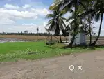 Prime Agri land - 2.5 acres facing tar road with Motor&Shed