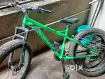 Schnell fat tyre bicycle