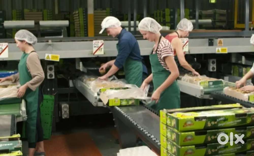 ।। पैकिंग जॉब के लिए आवेदन करें अपने लखनऊ शहर में ।।