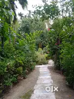 Urgent sale of land at bihaguri