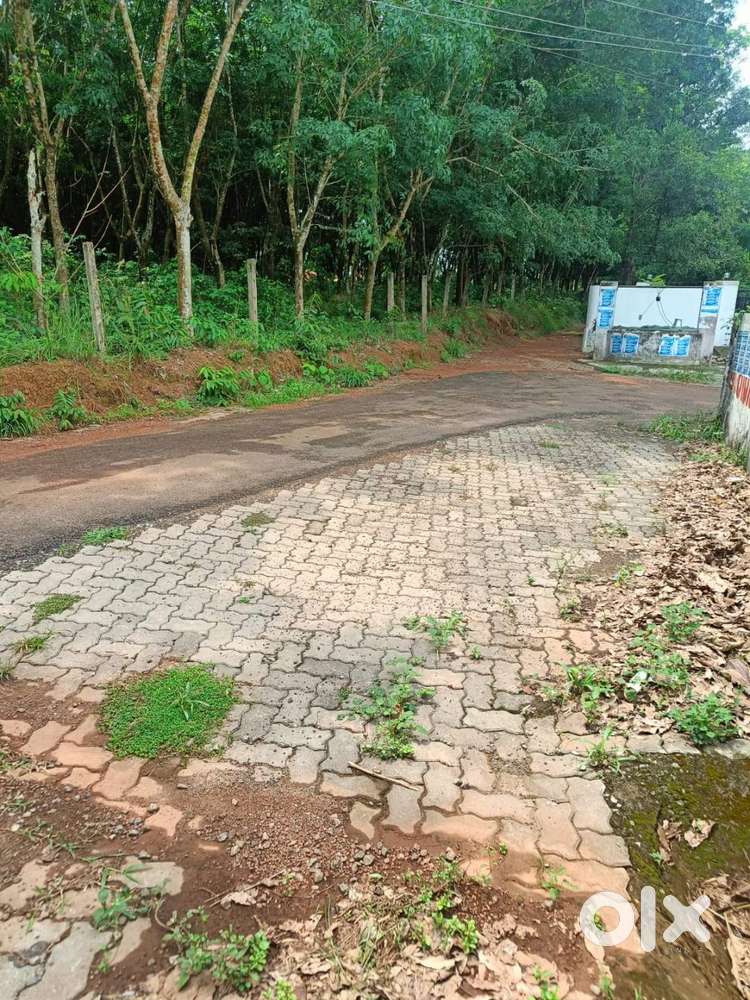 കുറഞ്ഞ വിലക്ക്  പ്ലോട്ടുകള്‍  സെന്റിന് 1.75 ലക്ഷം  മാത്രം