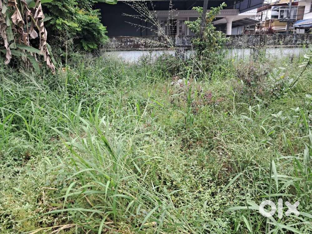 10 cents of Commercial Plot in Palarivattom.