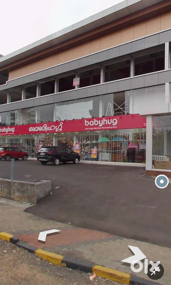 Investment Promotion Agent