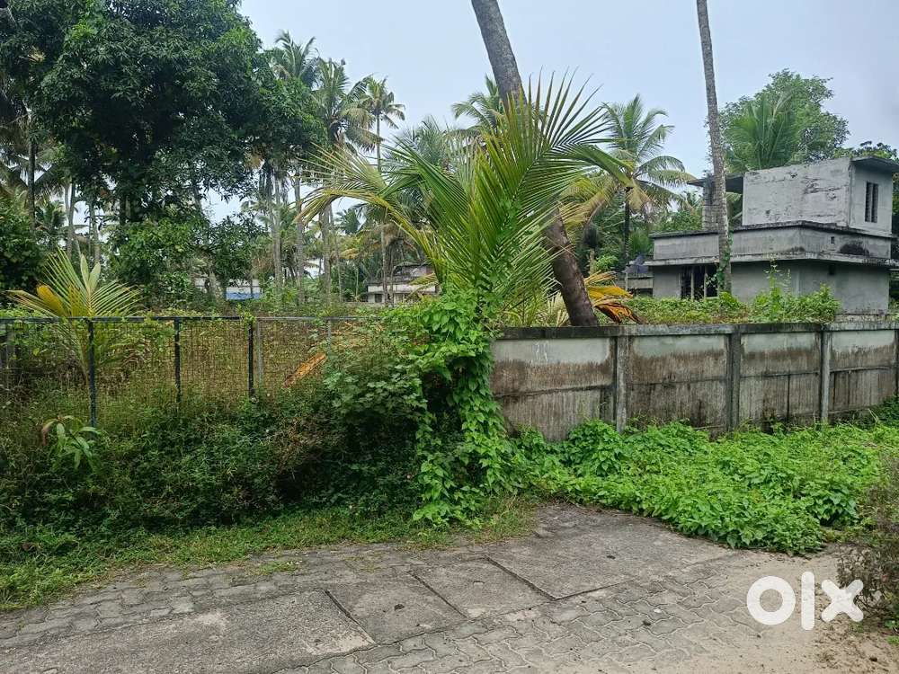 North paravur kaitharam 7cnt sthalam വില്പനയ്ക്