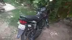 Honda shine sale