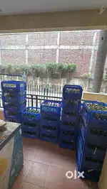 cart driver n sales like ice cream cart