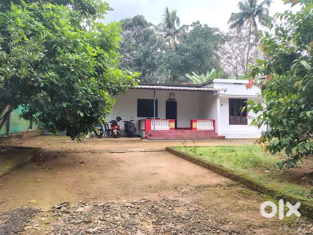 37 and half cent plot with 1000 sqft house