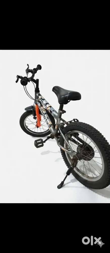 Radiant Cycle- 16 inch Tyre for 4-8 years