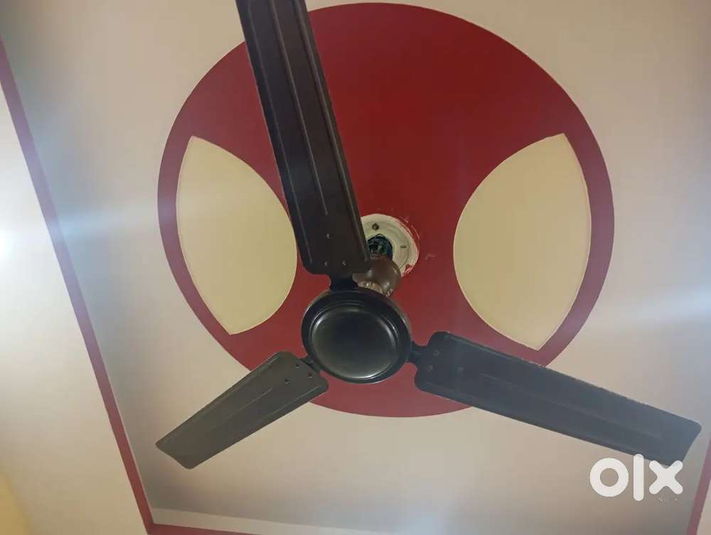 Ceiling fan local
