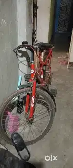 8 moth old cycle