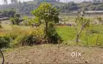 Residential  Land at Naukuchiyatal Bhimtal