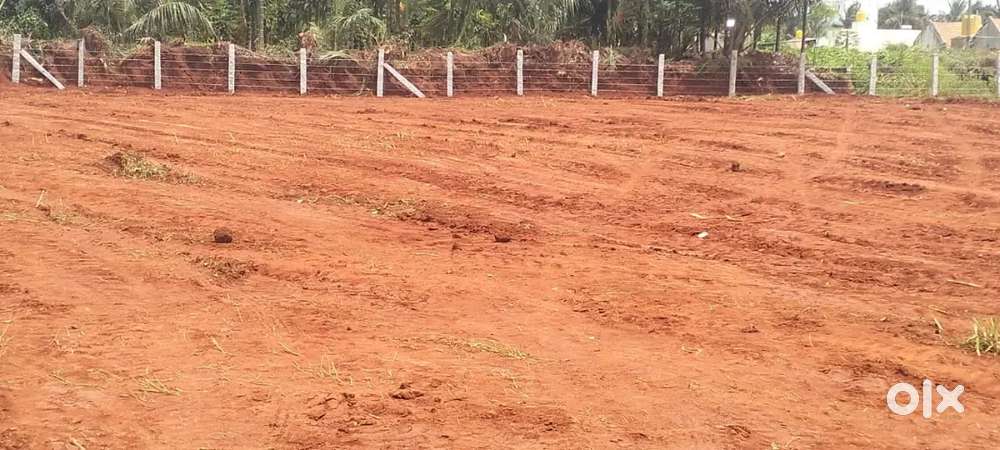 Site. Maruwddede. rastotan. Shcoll. Hatera. Hive. Hater. Site. Koduudu