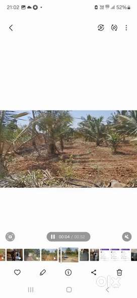 20 Guntas agricultural land for sale with Thar road approach