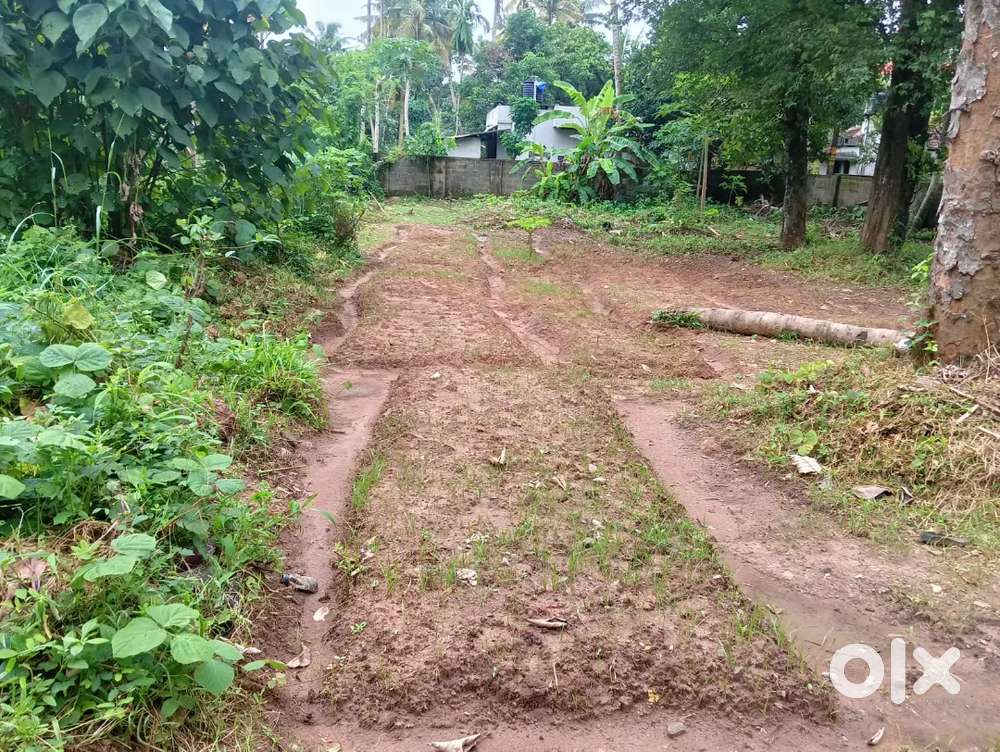 4 Acres of Dry land for Sale in Venjaramoodu for Sale or J.V