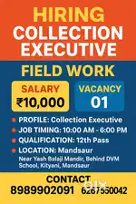 Hiring Collection Executive – Field Work (Mandsaur)