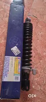 Suspension spring rear