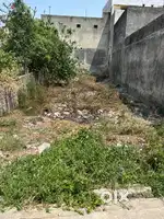 Palta bhi lag jayega