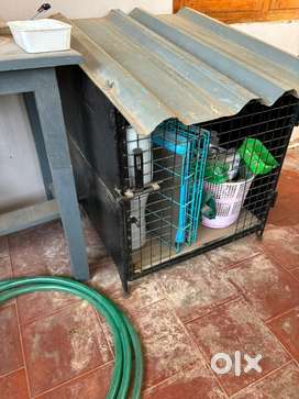 Metal dog cage