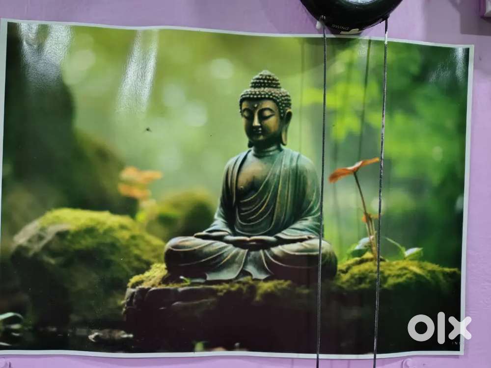 Spa massage Need young girls