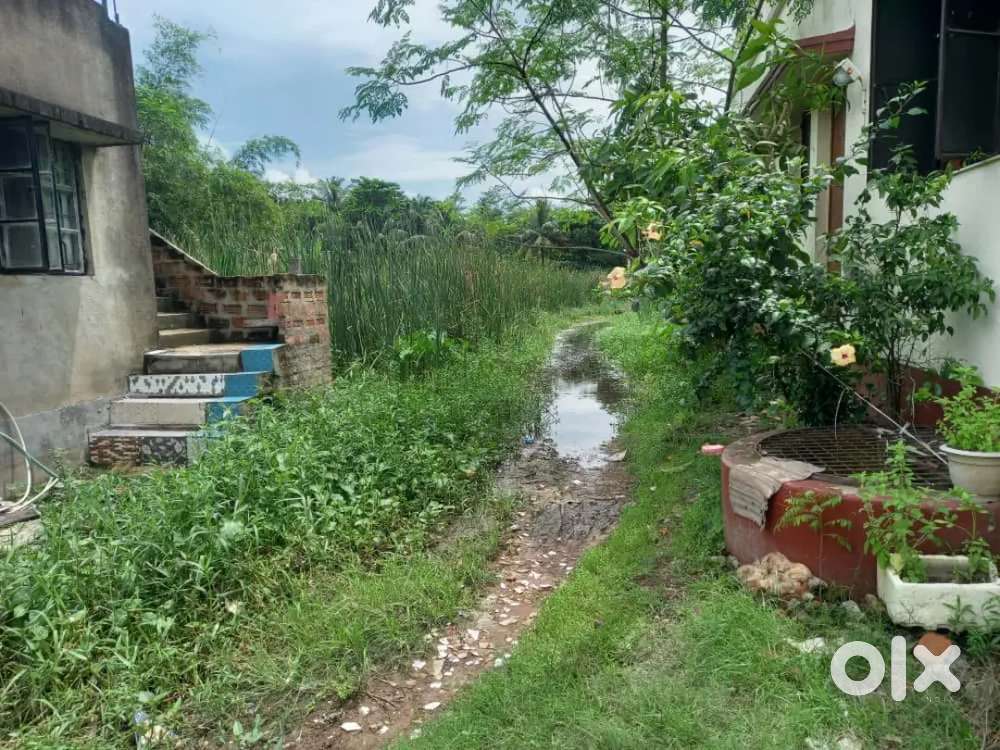 2 Cottah 4 Chatak Land