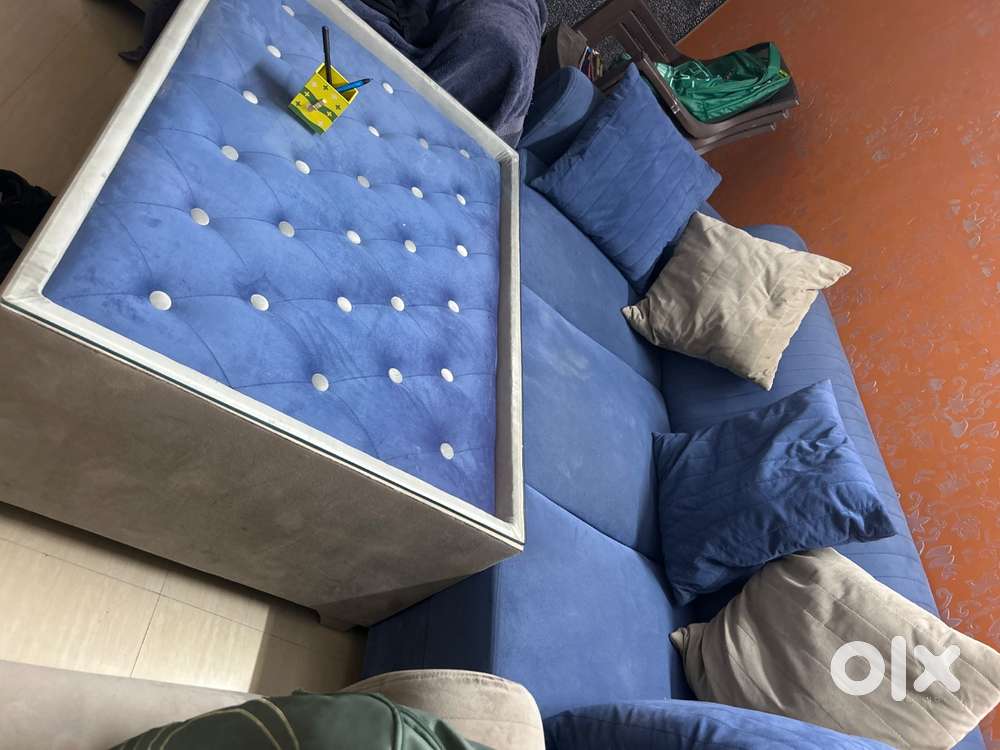 Sofa 2 years old