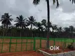 Plot for sell