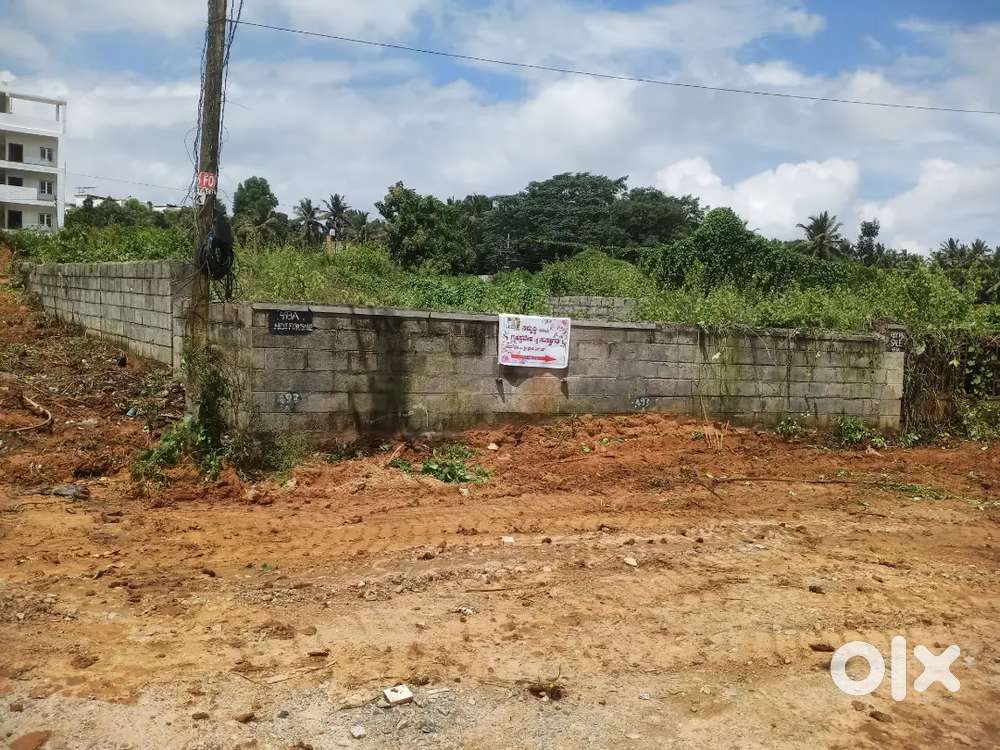 BDA site 40*60