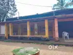 Pakirna katta buss stand