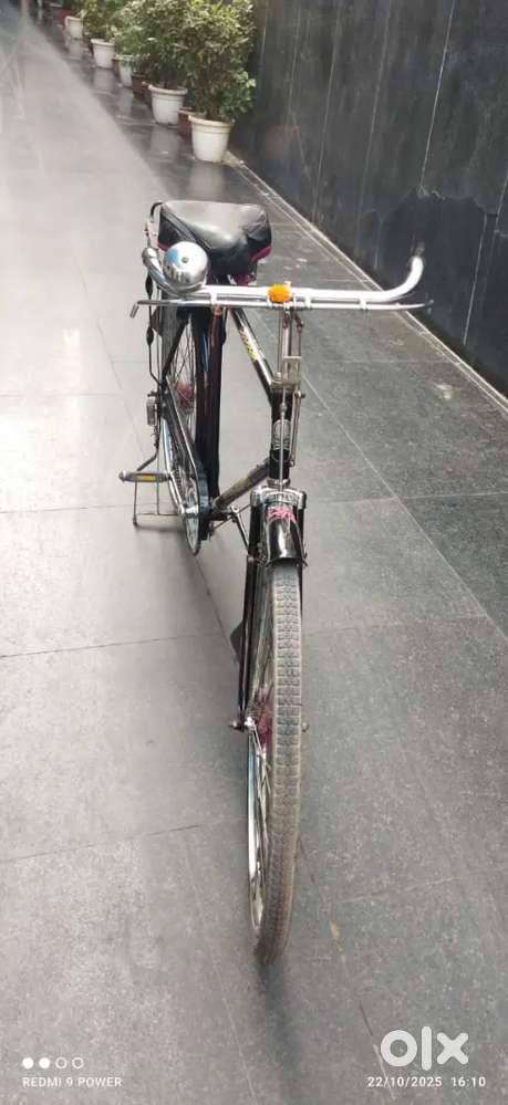 Neelam cycle