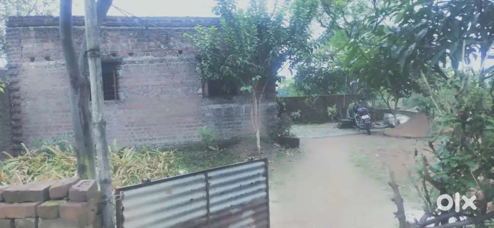 Camera was not good but still look good you camelook then purchase