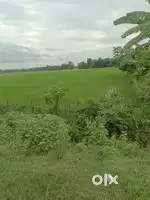 Road side land for sale. Per Katha 18 lakh.Duliajan Digboi Road
