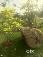 good condition tractor
