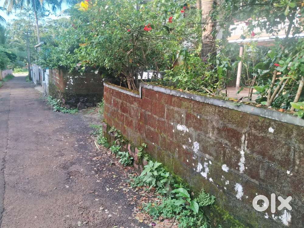 Premium 10 cent property just 50 mtr close to cwrdm by pass road