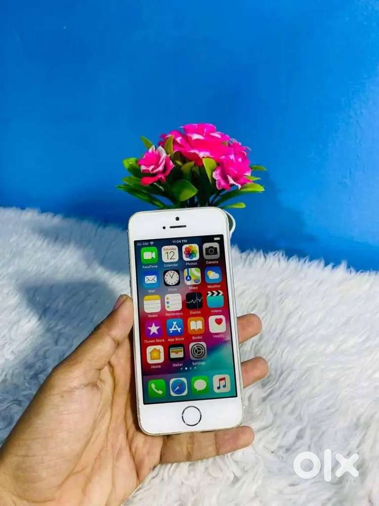 iPhone 5s health 94 .